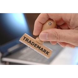 Trade Mark Registration For Your Brand Name/ Company Name